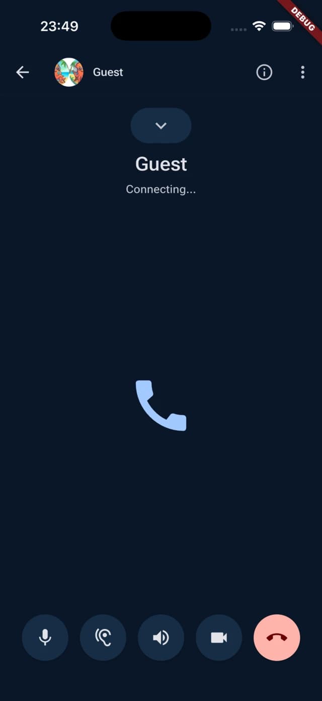 OctoChat HD Video Call Screen